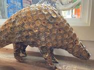 pangolin-11