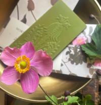 425284132 18047426791587209 1290567344371954382 n