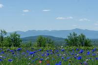 451004848 8417472681598916 8098282087073594055 n