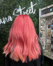 363328884 848375019615812 4578376763684173740 n