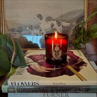 447040274 18058974643587209 4785536177176355055 n