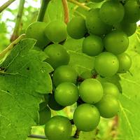 368990518 3505310689724014 1825406250372810576 n