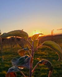 401591134 247210021404519 880792426409312960 n