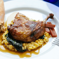 Screen Shot 2024-02-19 at 4.21.27 PM