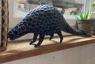 pangolin-10