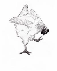 370837490 985776972709754 7801212393175536619 n