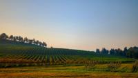 KLOCKE LANDSCAPE