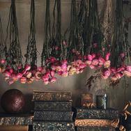 411572914 18042353686587209 2217957563111749622 n