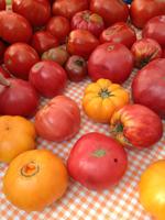 Hudson Farmer’s Market 5