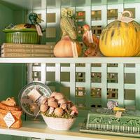 425026209 404947392013277 8750713037529870955 n