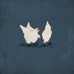 chickens