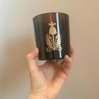 444928929 18058001029587209 3920557976434559331 n