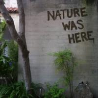 440876796 18056025568587209 2552460401451654895 n