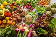 Hudson Farmer’s Market 2
