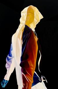 INanto Beneath the surface -4 Oil 91 x 61 cm