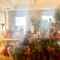 412985877 18043132807587209 2104902808474349384 n