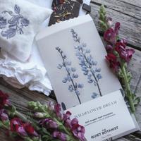 425860069 18088354255408782 6177788926097164946 n