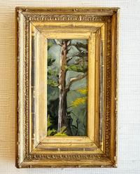 430177806 1415789139028692 5399795782384681282 n