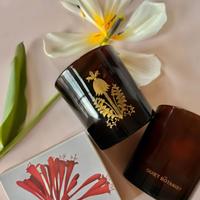 445003968 18058326595587209 300848767583927952 n