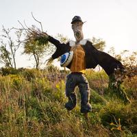 210043908 171801254967164 9062359262566493745 n