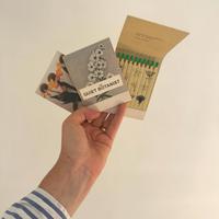 441883690 18058688815587209 6641530278963722693 n